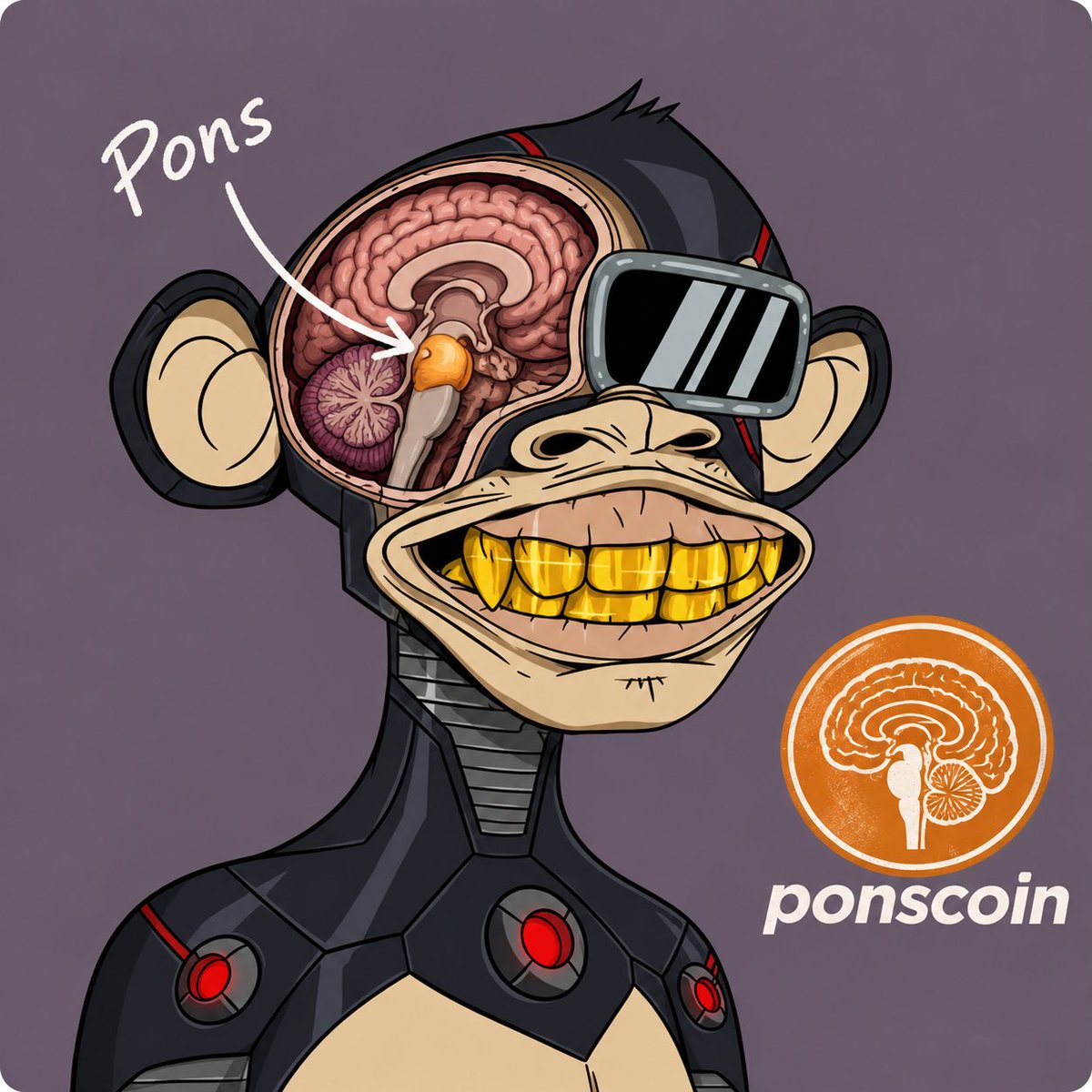 ponsmemecoin's tweet photo. @machibigbrother you got a big ahh pons brother https://t.co/nVDfioMZCM