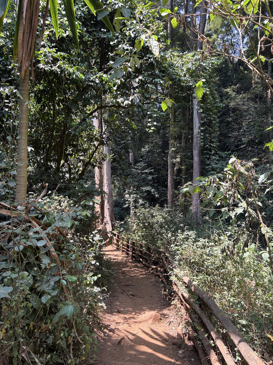 abrartistic's tweet photo. 🍃 https://t.co/VR94qXQ1nQ