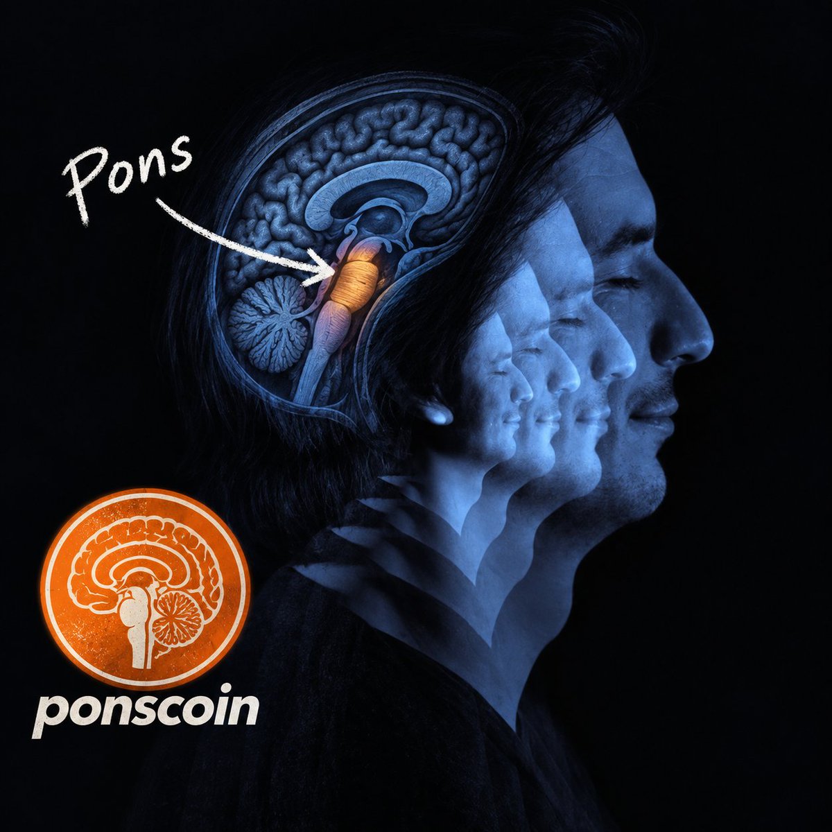 ponsmemecoin's tweet photo. @vladtenev i really admire you pons https://t.co/cYxk14NozT
