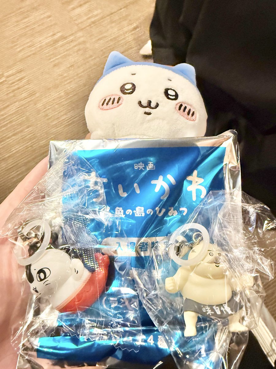 m_ryu_t_'s tweet photo. 狙いの2種がきました😆
1回しか来れないからありがたい😭
第三弾も欲しかったな…🥺
#ちいかわ https://t.co/Wc5Pe5oNHh