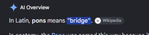 BridgePonsRH's tweet photo. Ozzy, the PONS dev, tweeted that PONS means “Bridge.”

It’s a bridge between normies and traders, and a bridge between traders and stocks on-chain.

Their banner literally shows someone walking across a bridge.

The whole narrative is right in front of us. https://t.co/z9EFsW9uTH