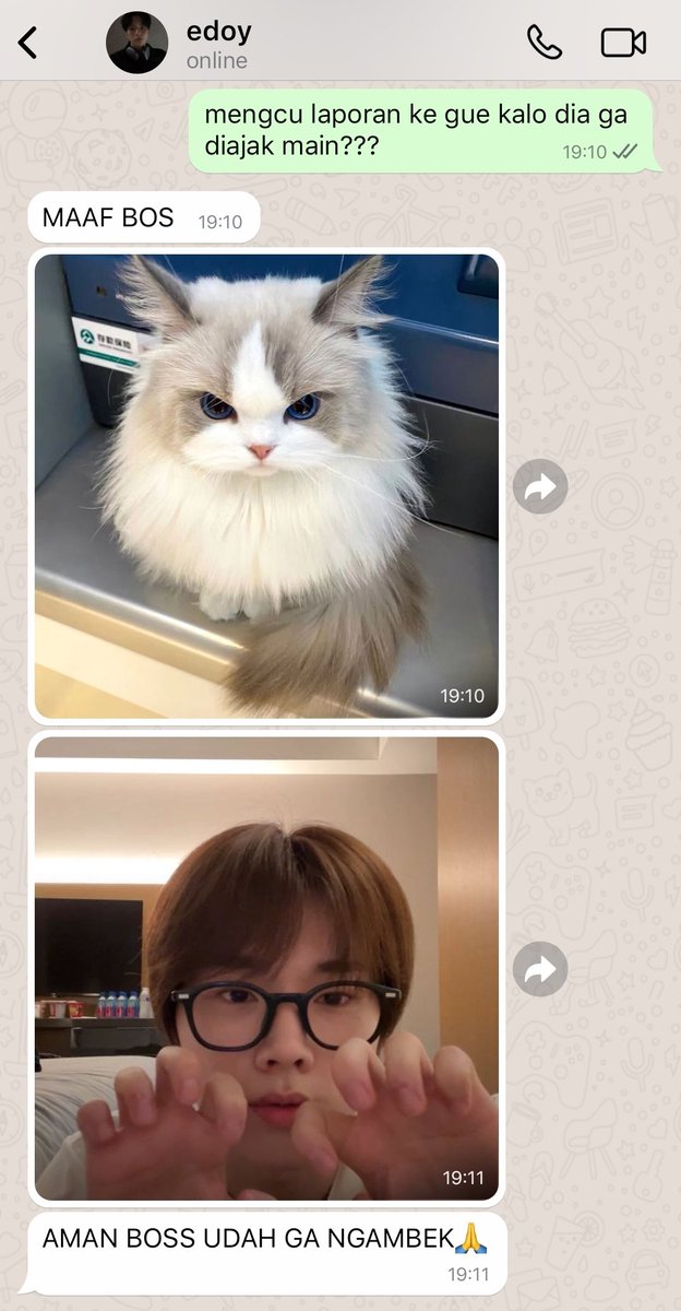 ppirismile's tweet photo. siapa mau #gunsu au?

kk gun punya pacar hybrid kucing cantik https://t.co/YI75omksI0