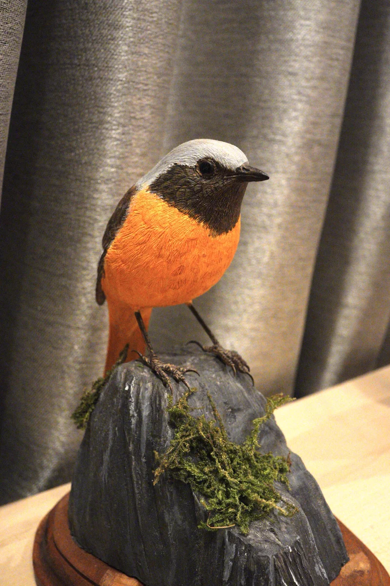 🕊️アイザック🐤 on X: 