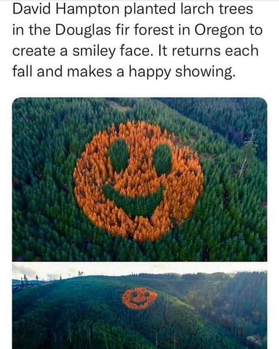 purplesteph1978's tweet photo. Daily giggles xxx 😁😁😁 #Funny #BigDecisions #FinalThought #Perspective #Baby #Trees #SmileyFace #Kids #FunPlaces https://t.co/85A43vzGrX