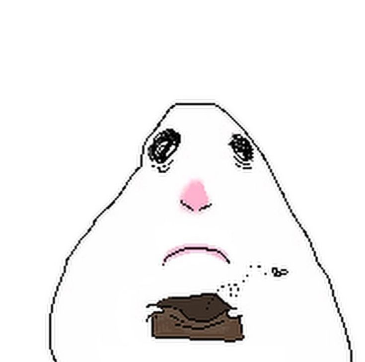 nabiow's tweet photo. please leave my shop :( 
i need to save my money for the lesserafim bundle https://t.co/VtDDPdyowv