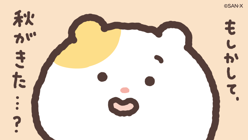 hamuchima_sanx's tweet photo. 過ごしやすい気温…🐹✨ https://t.co/TFbQMiyeSd