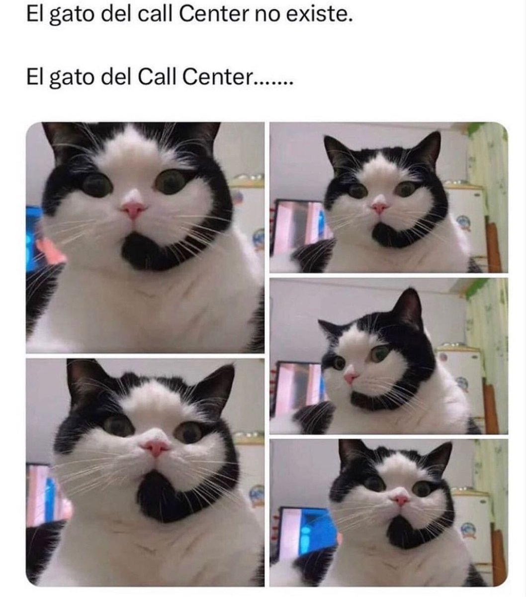 Queviral_ tweet picture