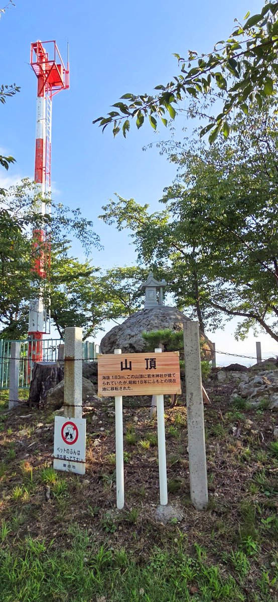 paratan_nu's tweet photo. パラ、登山二成功セリ🦭
 #若木山
 #海抜183m https://t.co/2A86F9iC2W