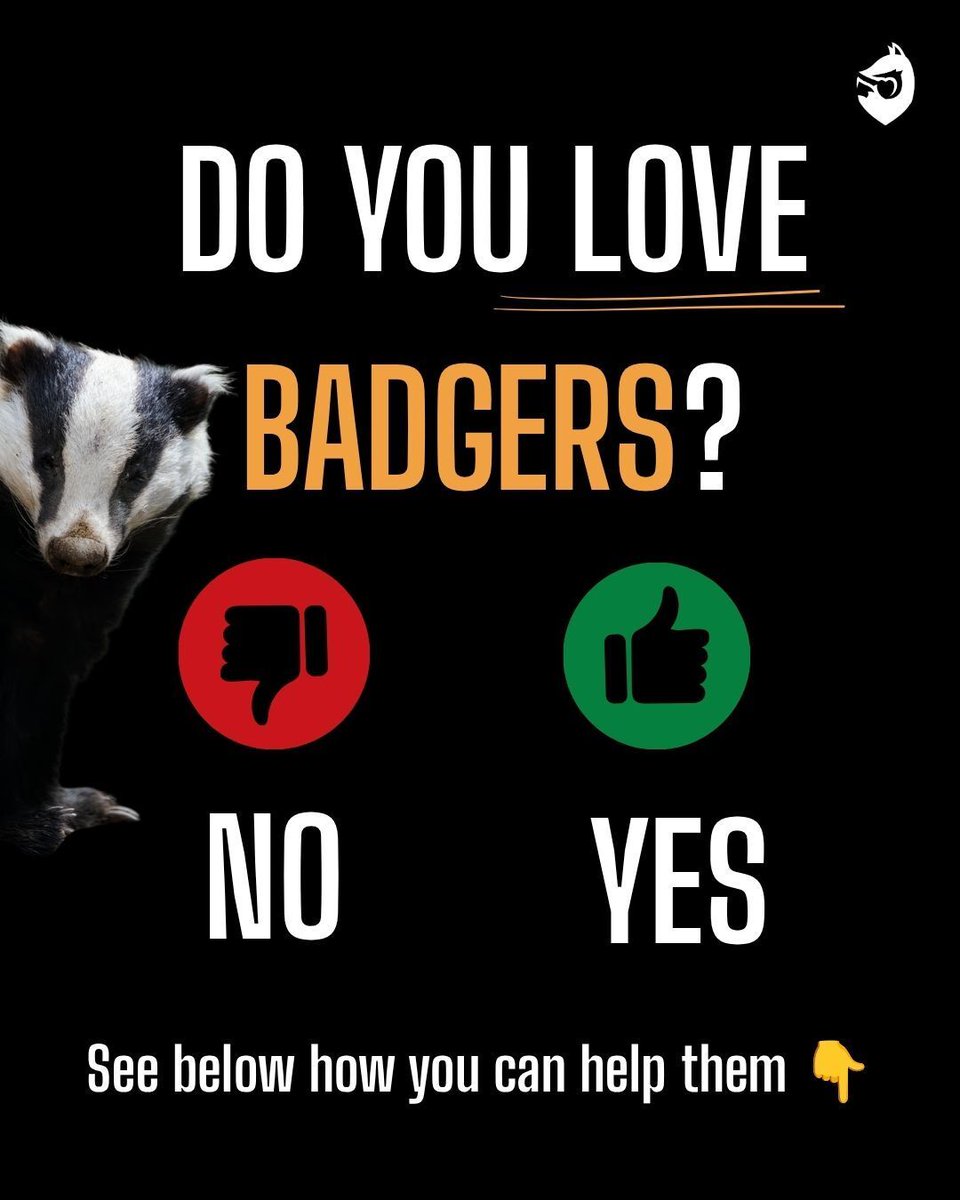 ProtectTheWild_'s tweet photo. Do you love badgers? It only takes two minutes to help them... https://t.co/tanNTVL29E