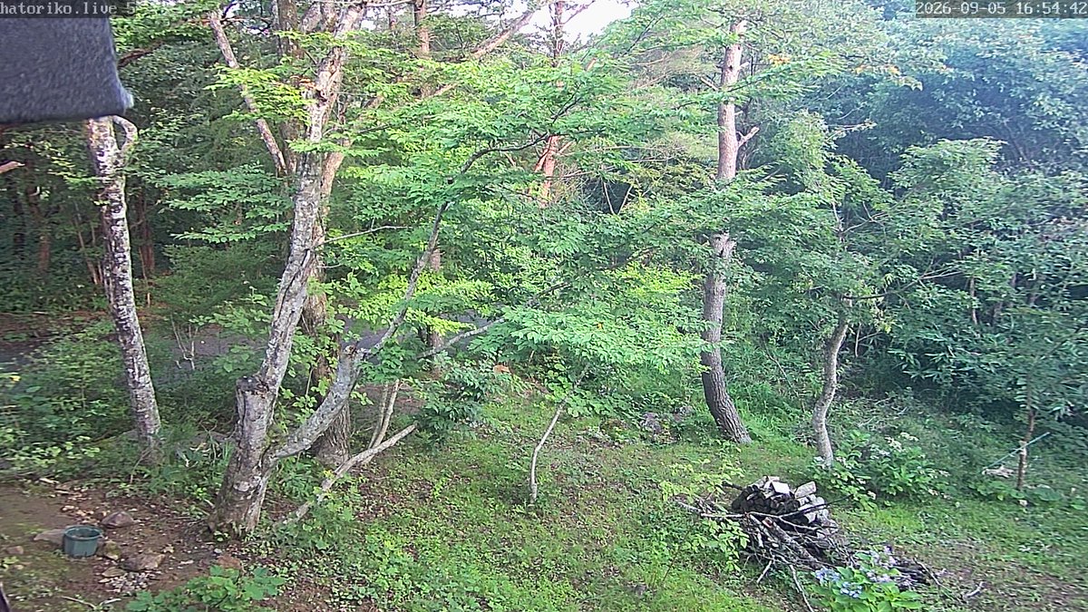 HatorikoBot's tweet photo. 🕒 09月05日 17時01分現在の福島県・天栄村・羽鳥湖平和郷の気象状況です。
🌡 気温:19.1℃
☔ 日雨量:0.6mm
🏴 最大風速:調整中
🌐 気圧:1018.2 hPa
🔎 詳細・グラフは プロフィールのリンク から
#天栄村 #福島県 #空ネット #netatmo #クマ https://t.co/6YemAUrpnn