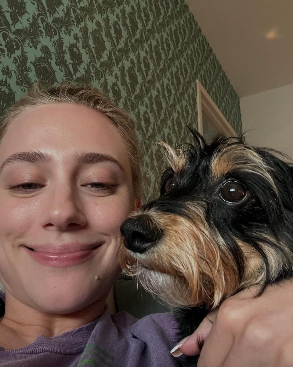 JenniferWiob4f's tweet photo. Awwww  there’s nothing like that pet energy — the wagging tails, the purrs, the random zoomies, the way they just _get_ you without words. https://t.co/QgTLvvR298