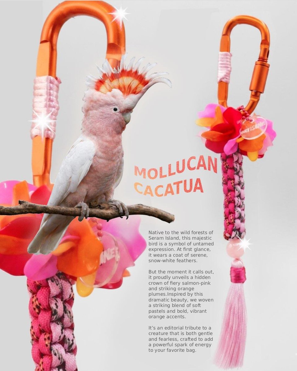 tylenocl's tweet photo. Me as a bird https://t.co/iXr6WE1vok
