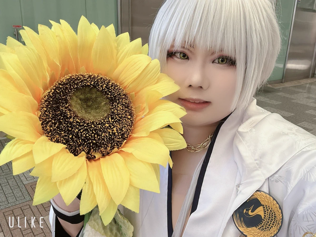 一文字則宗ウィッグ ウィッグ 道誉一文字 コスプレ イケメンレイヤー獅
