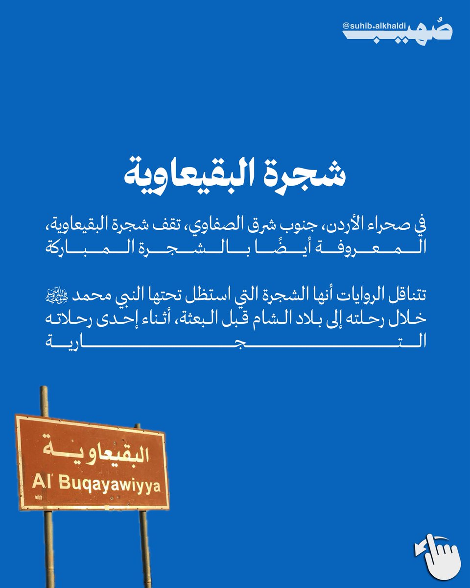 AlkhaldiSuhib's tweet photo. شجرة البقيعاوية، الشجرة التي استظل تحتها خير الخلق سيدنا محمد ﷺ https://t.co/vedec914FX