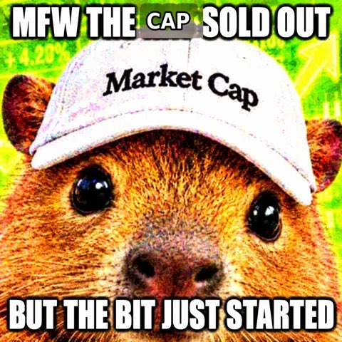 marketcap_rh's tweet photo. https://t.co/jxenYVpKxA