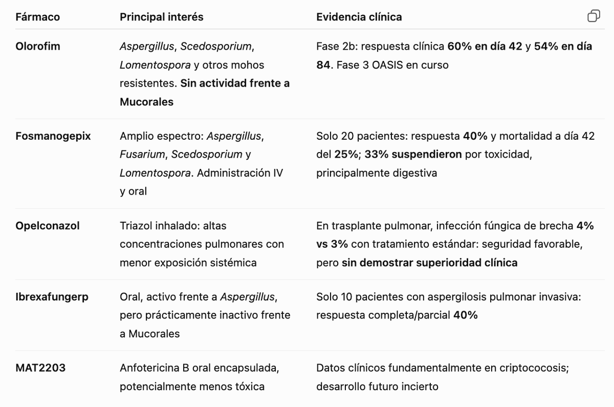 MicroClinicoVLC's tweet photo. 🍄 Nuevos antifúngicos frente a mohos:
   . Olorofim
   . Fosmanogepix
   . Opelconazol y Oteseconazol
   . Ibrexafungerp
   . MAT2203 (anfotericina B oral)
➡️ Amplían dianas y formulaciones, pero la evidencia clínica aún es limitada. 🔬
🔗 https://t.co/OBATPIxeRs https://t.co/ZLmO60vr2P