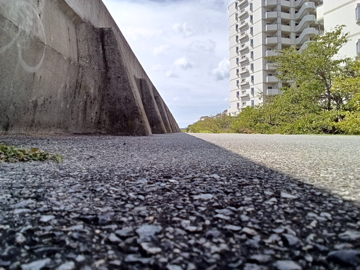 misaki_11__'s tweet photo. またまた当日ライドポスト🚴
来週はずっと雨模様なので☔
ちょっと距離稼ぎ🎢
富士山や熱海も良かったけど🎗️
やっぱり武庫川が一番💯
写真は光と影🎶

2026/9/5 (土) 9:16のアクティビティ
#TATTA https://t.co/4a7YD6XH8K