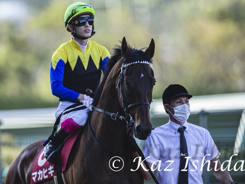 HimawariKaz's tweet photo. マカヒキ
(2021年 京都大賞典)

Makahiki,the 2016 Japanese Derby winner
(photo:2021 Kyoto Daishoten (Gr.2) ) https://t.co/TMoq66djD3