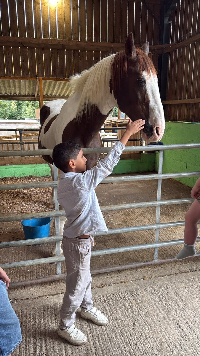 HawksmoorYouth's tweet photo. Summer Family Trip to the Farm @YoungGreenwich So much fun. 🤩 https://t.co/svHwTFx0O9