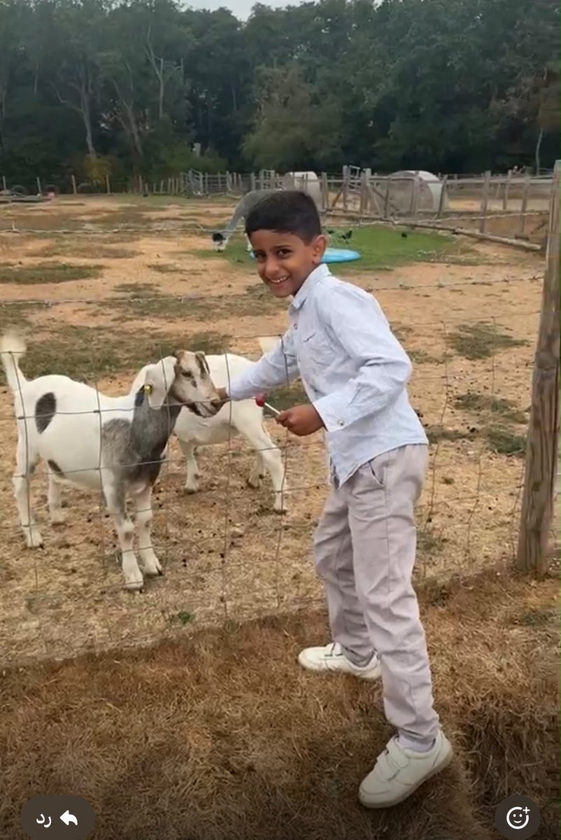 HawksmoorYouth's tweet photo. Summer Family Trip to the Farm @YoungGreenwich So much fun. 🤩 https://t.co/svHwTFx0O9