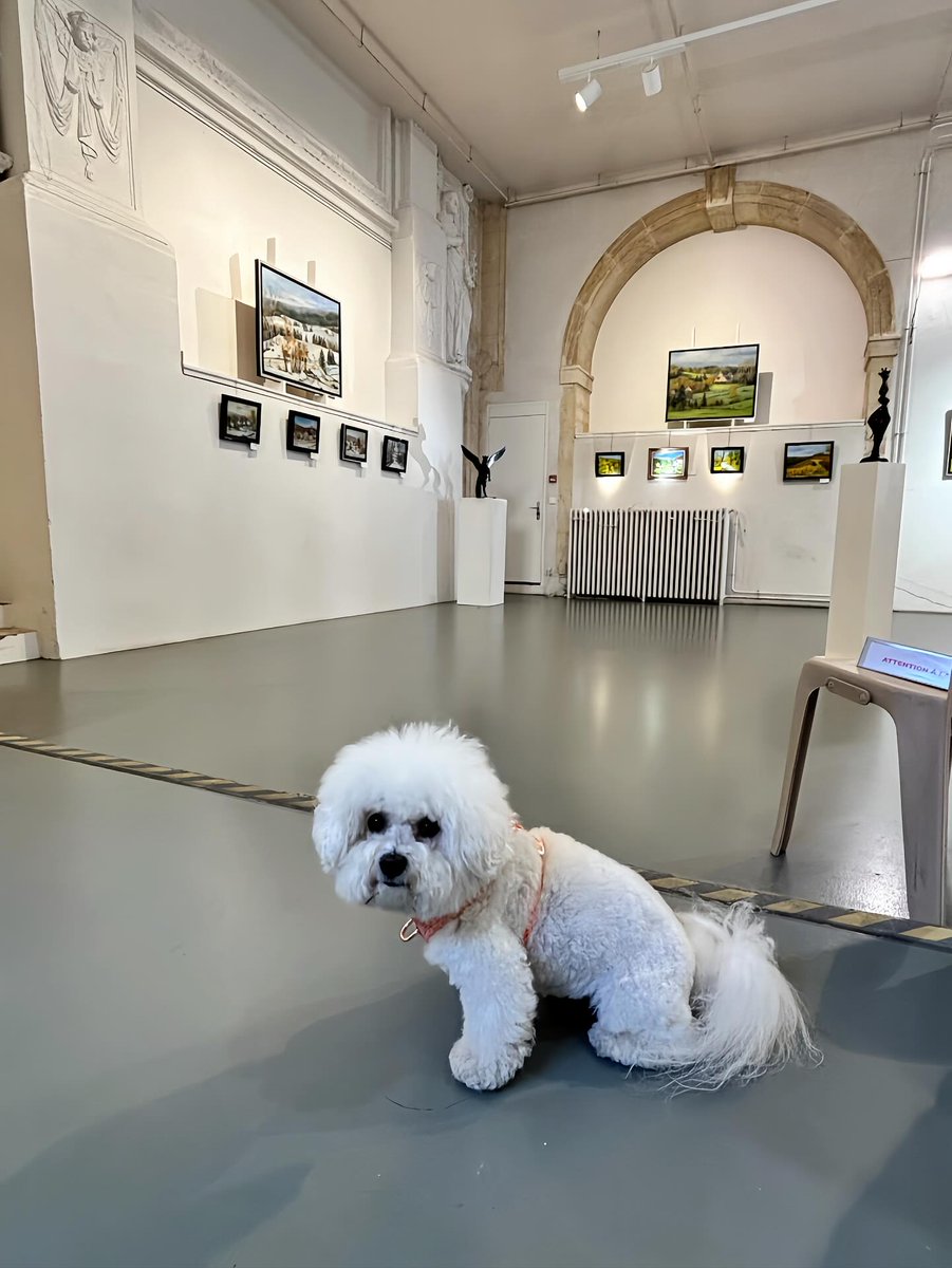 ElenoreLipsfrm's tweet photo. We spent day 4 of our vacation in the wine capital, Beaune! Photo 1: Breakfast 
Photo 2: Morning park walk 
Photo 3: Time with Grandma 
Photo 4: Exploring the city 
Photo 5: My first art exhibition 
Photo 6: Meeting a French truffle hunter 
Photo https://t.co/e7c32dCipf