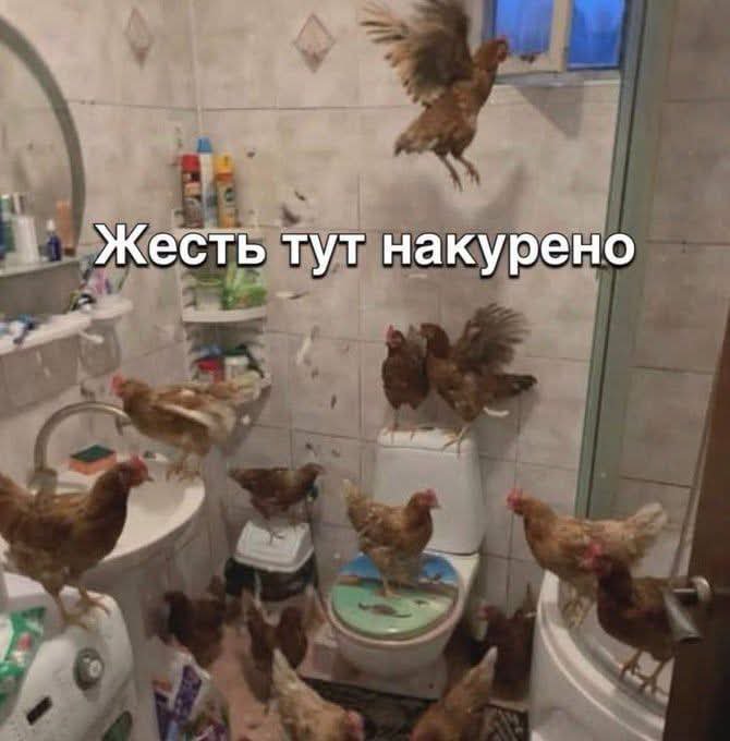 Kherson30's tweet photo. Не те слово. https://t.co/DzyrJczyPo