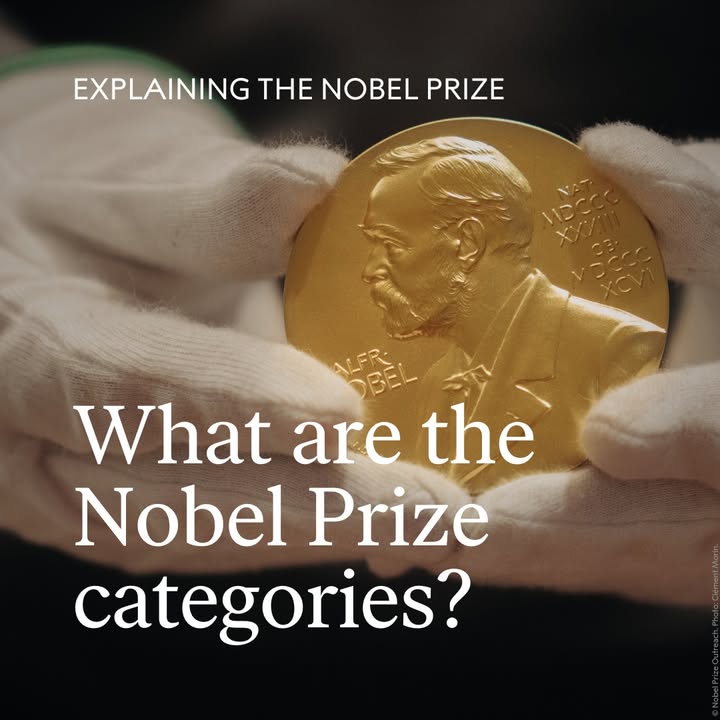 NobelPrize's tweet photo. The Nobel Prize categories are physics, chemistry, physiology or medicine, literature and peace. These were laid out in the will of Alfred Nobel. 

In 1968, Sveriges Riksbank (Sweden’s central bank) established the Sveriges Riksbank Prize in Economic Sciences in Memory of Alfred Nobel.

The prize in economic sciences is awarded alongside the original five prizes – all of which are announced every year in October. 

What category would you receive a Nobel Prize in?

Learn more: https://t.co/mkuPBrPRle
