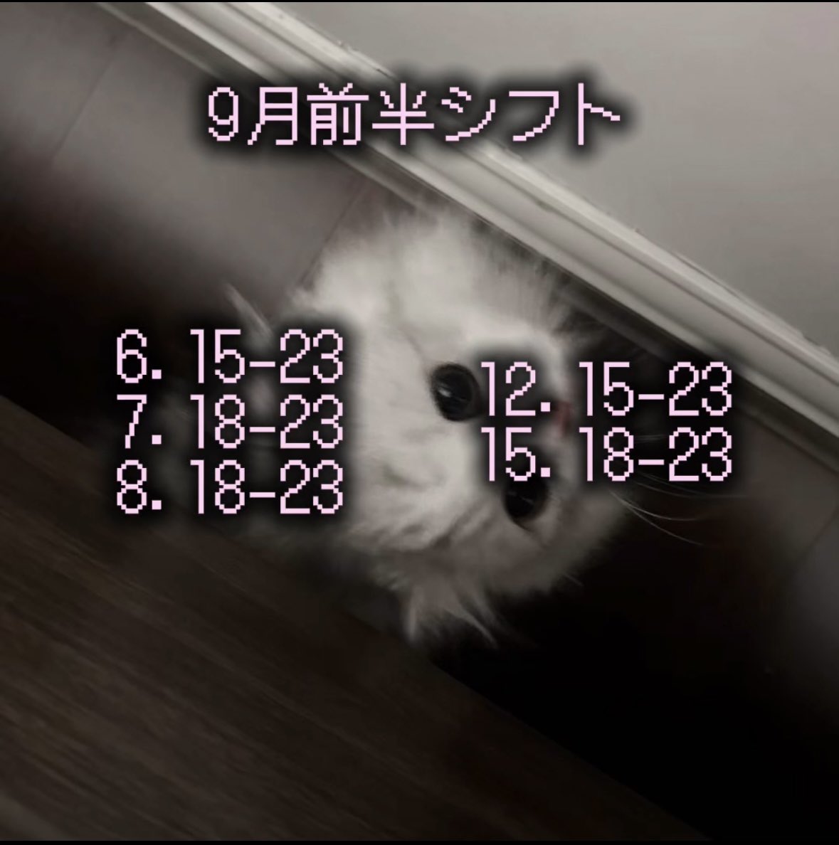 qlxa97's tweet photo. ９月しふと！ https://t.co/N0XVZ9tExT