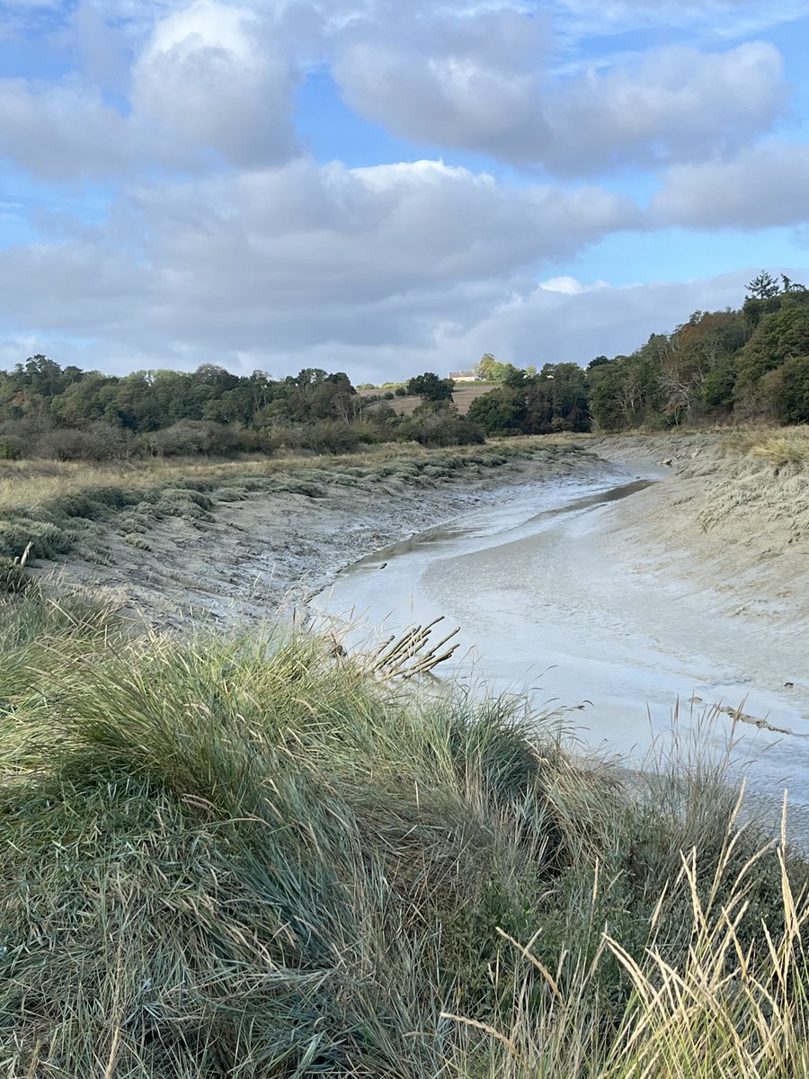 Dominiquepucini's tweet photo. Vallée de l’Arguenon à Crehen ce matin. #Crehen https://t.co/6GRxkrlkyI