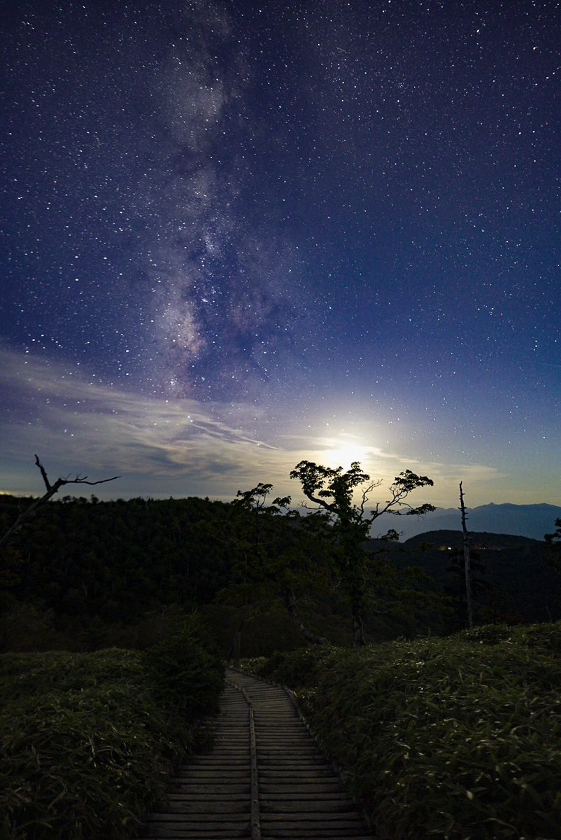 ryo_hata_photo_'s tweet photo. 大台ヶ原から見上げた満天の星と天の川
人生で一度は訪れてみてほしい場所 https://t.co/J6tWF6EdUr