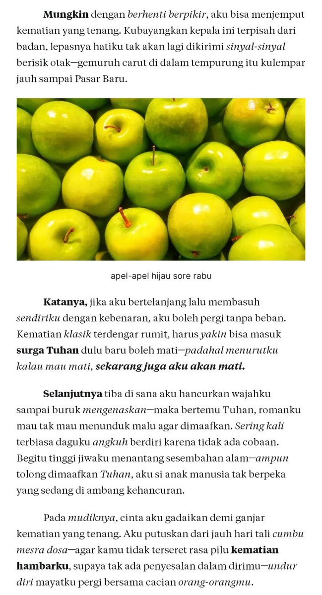 kucingitisme_'s tweet photo. versi substacknya apel hijau🍏

https://t.co/OVoDeZyOdS https://t.co/vzZj79jxJA