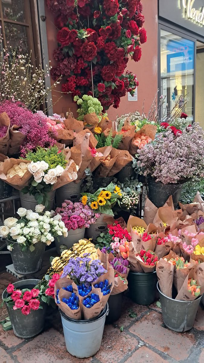 FLOWERS3700's tweet photo. https://t.co/Trd5PKYse4