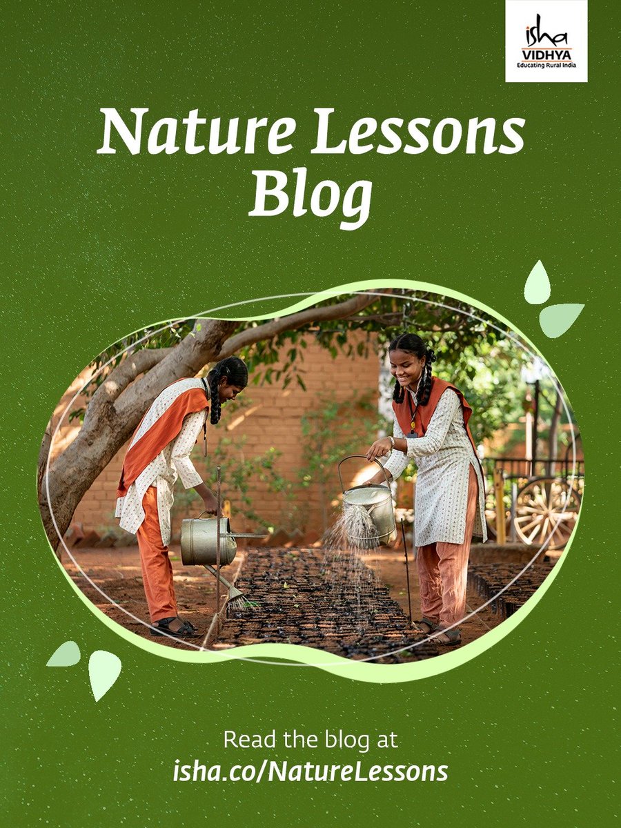 ishavidhya's tweet photo. From tree hugs to bird watching, rainwater harvesting to recycled crafts—Isha Vidhya students celebrated World Environment Day with hands-on nature lessons that nurture lifelong empathy for the planet. Discover their journey—visit the blog to read more: https://t.co/jZVjKpULTW https://t.co/2My1laLso7