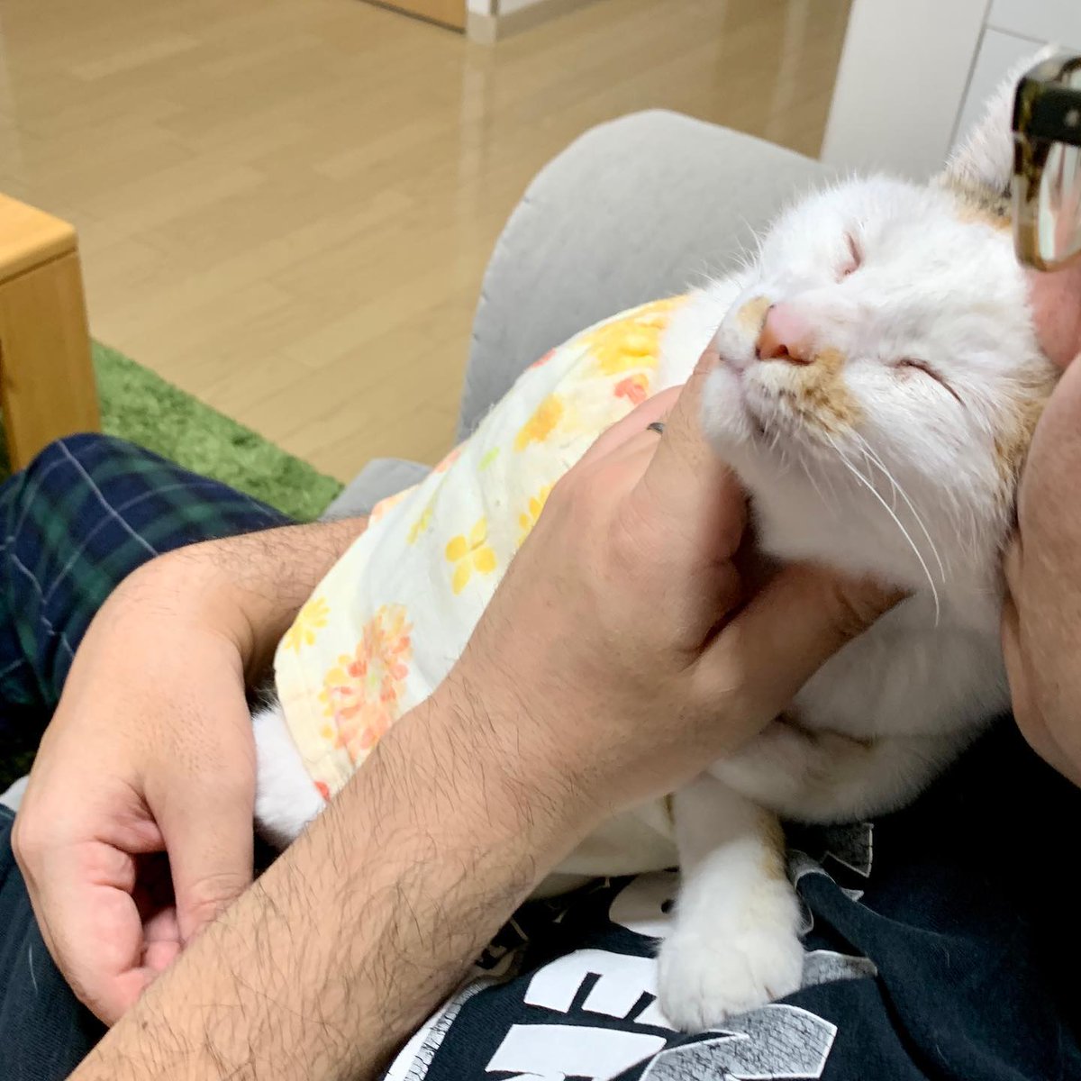 ModestaFinet's tweet photo. 自分の弱さを認めるのは勇気がいることだと思う。ときには立ち止まって深呼吸するだけで十分なのかも。みんなは疲れたときどうしてる https://t.co/ldn9l5oW8R