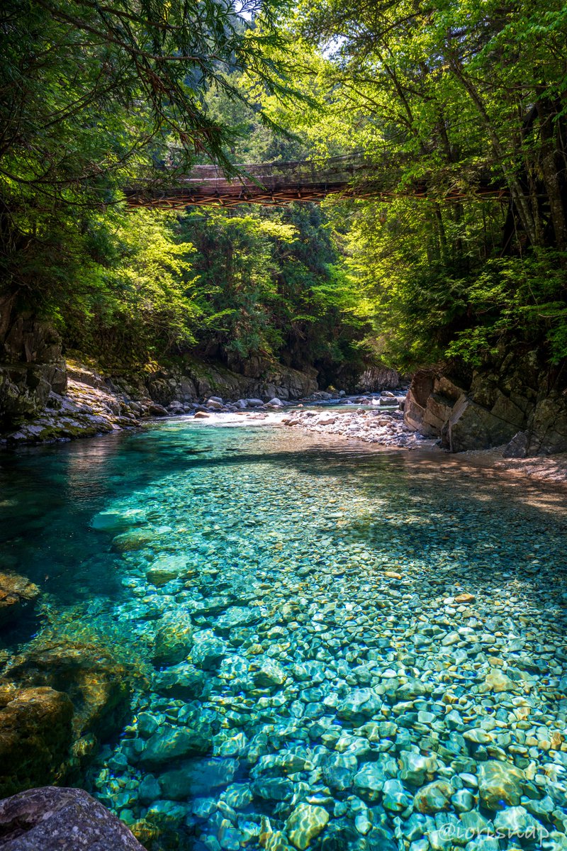 iori_snap's tweet photo. 最高の癒しが得られる、煌めきの場所
←長野県　　高知県→ https://t.co/4mOO2GEXwc