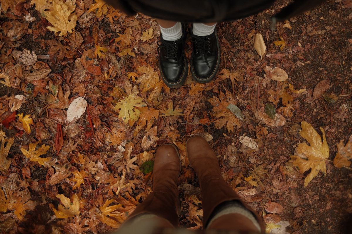 lassybees's tweet photo. fall is upon us https://t.co/sbsSY8FWDR