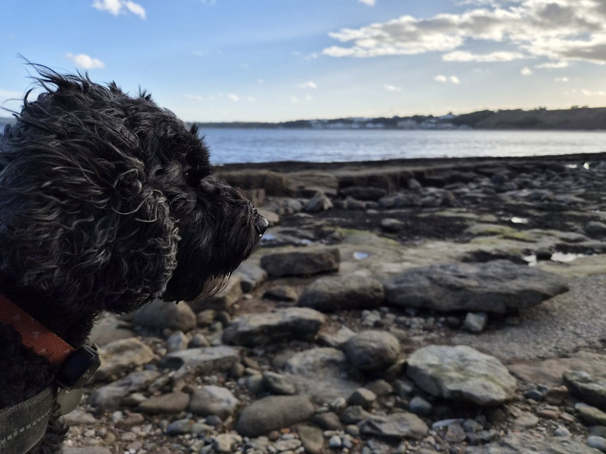 jelliott636's tweet photo. 🤣🤣 not happy at my beach pics yesterday 🤣🤣 #scarborough #filey https://t.co/ujx0e6kL8C