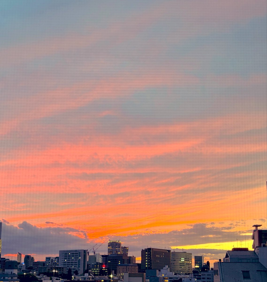 ko4tantanto's tweet photo. 夏を、おかわりしたい。 https://t.co/lXLt2JCTPb