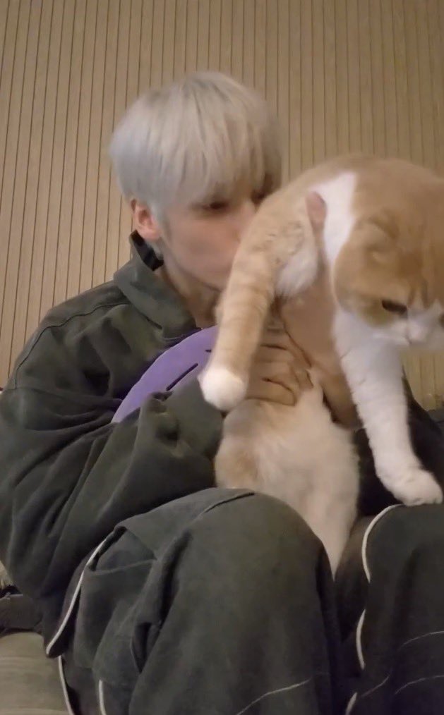 translatingTXT's tweet photo. 🐧 should i eat pasta for dinner?
🐧 ruby~ ruby come play with hyung~
🐧 🐈💋💋💋 okay okay i’ll let you go
🐧 he likes being touched but not being held https://t.co/lq45rH830b