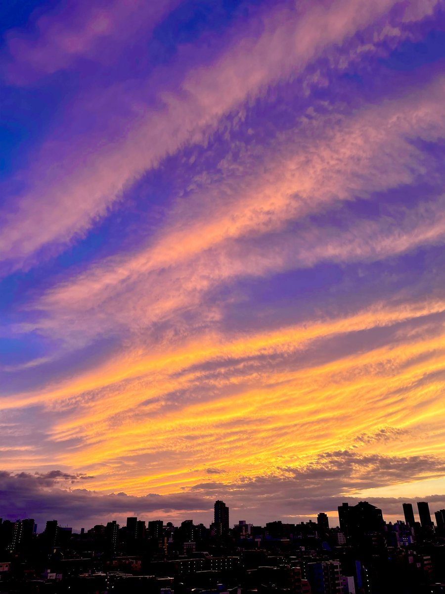 DIntroductions3's tweet photo. #イマソラ #相互フォロー
#写真好きな人と繋がりたい
#ファインダー越しの私の世界

秋が始まったのか、涼しい夕暮れ 🌆 https://t.co/DwYtYrcTvI