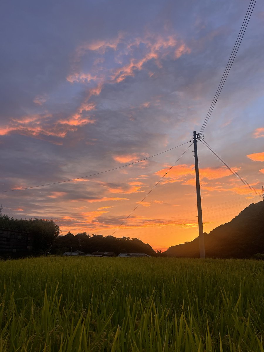 Amsc_azs's tweet photo. 秋
#イマソラ https://t.co/WmbGy3aYl9
