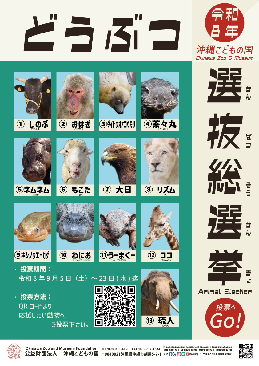 OkinawaZoo's tweet photo. ＼動物選抜総選挙スタート！／
沖縄こどもの国では、動物愛護週間にあわせて 13種の動物たちが立候補！
園内ポスターの QRコードから投票できます。
あなたの“推し動物”に、ぜひ一票を。

〇投票期間　9/5（土）〜9/23（水・祝）
〇ポスター掲示場所　各獣舎前／ZOOスクール／ワンダーミュージアム／インドゾウ舎近く東屋

🔥ファイナル街頭演説
飼育員がそれぞれの動物の魅力を熱く語る特別企画！
9/19（土）〜23（水・祝） 11:00／13:00／15:00｜各獣舎

詳しくはこちらから！
https://t.co/FsKFx867ad

#沖縄こどもの国
#沖縄こどもの国動物選抜総選挙2026