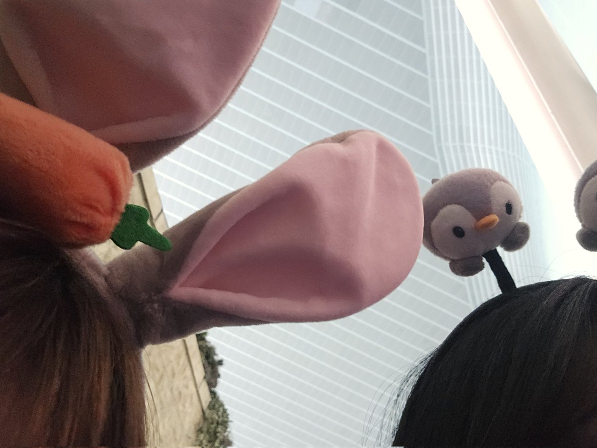rltw15's tweet photo. 금공강의 여유 https://t.co/pNxYGetDxx