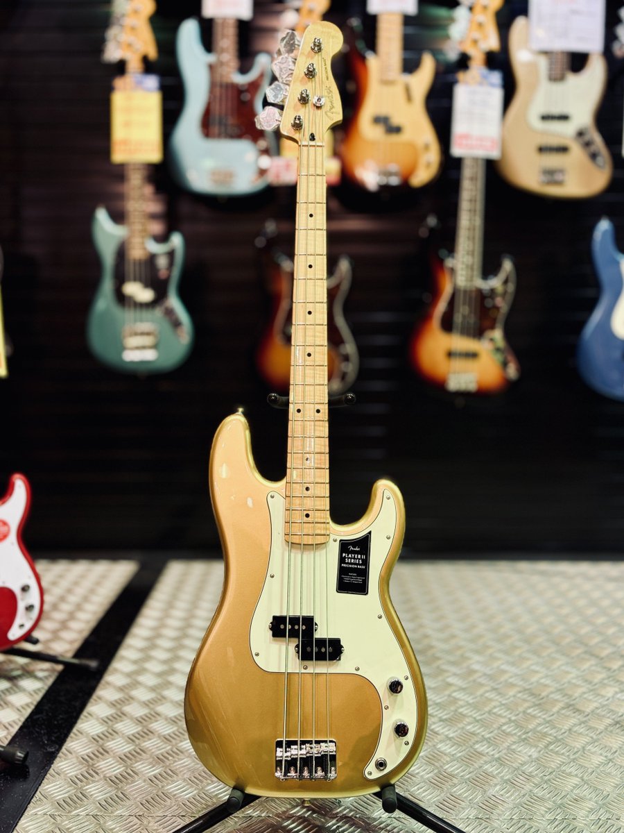 bassstation_akb's tweet photo. #FenderMEX
Fender Mex player II、75周年限定のゴールドカラー✨
この一本、特に照明の下で見ると本当に映えます!ステージ上でもかなり存在感を出してくれそうです👀
しかも、定番モデルと同じ価格帯なのも嬉しいポイント! https://t.co/801xTKm4SC