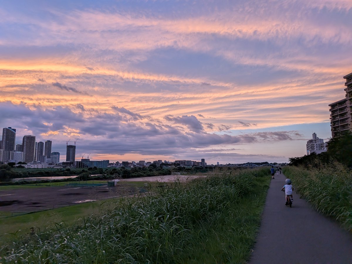 hamakn's tweet photo. たまがわ https://t.co/wwO4aiOKfw
