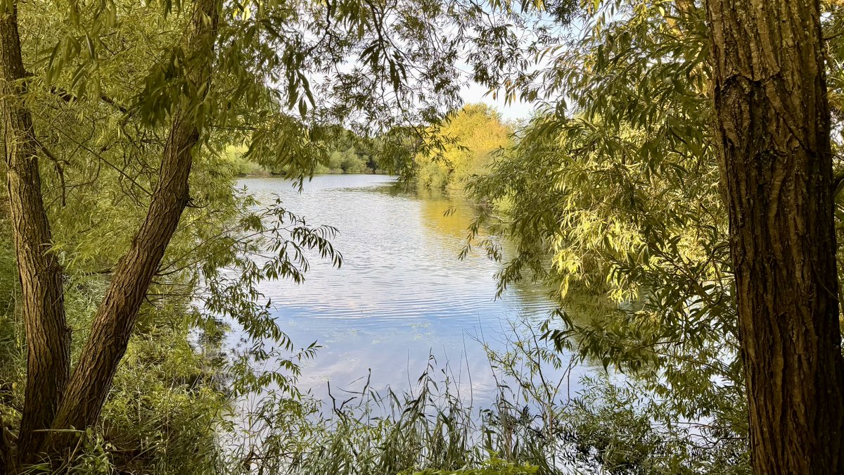RushforthMike's tweet photo. Waking up to this view is a great start to the day. The lake also contains the most perfect roach I have seen, beautiful colours, the crystal clear water is full of natural food. Our short break ends soon but we will return. #EastYorkshire #lakeview https://t.co/hTUP5Q5Szc