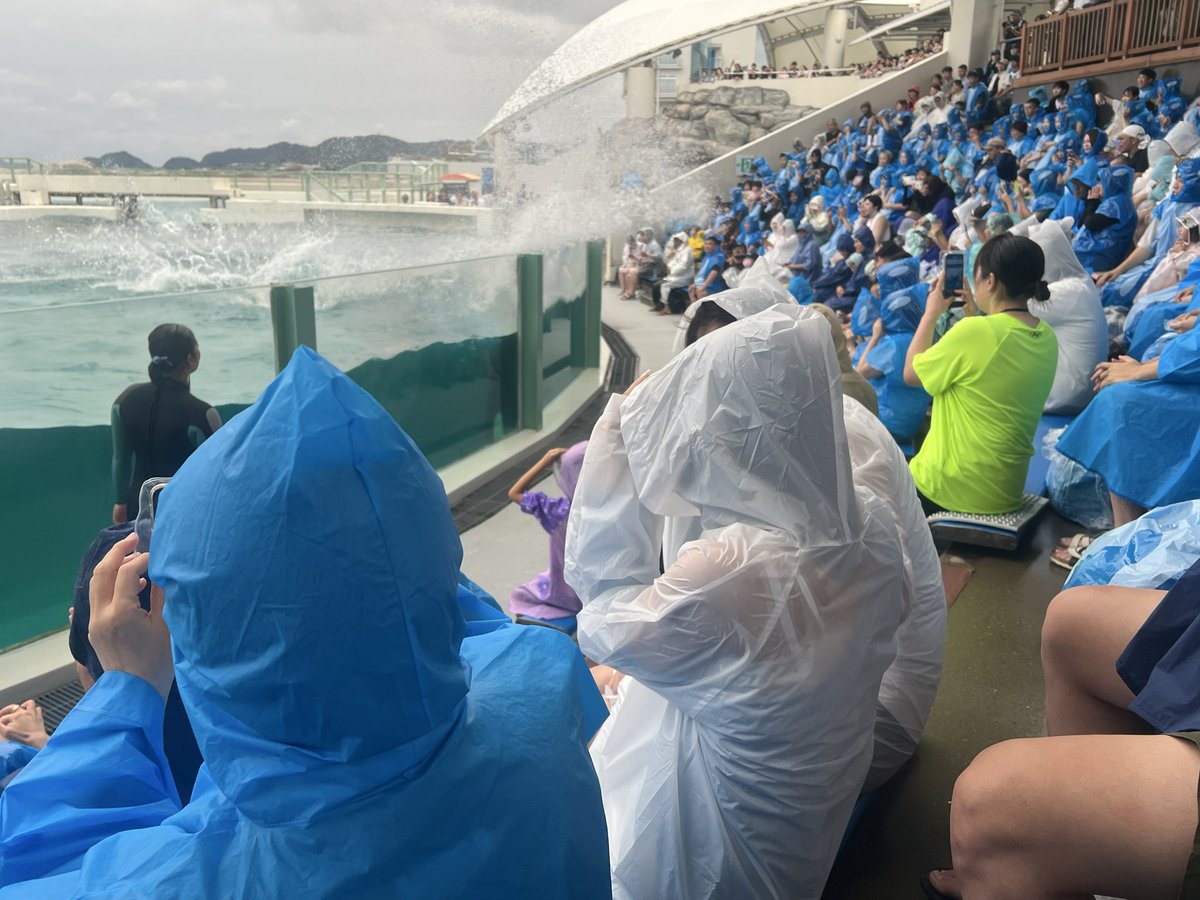 mnmvok's tweet photo. 楽しい楽しい沼民reiちゃんとの旅行でさ、超張り切ってとても2日じゃ着用しきれない、ファッションショーするくらいの量の服をスーツケースに詰めたのに、スーツケースごと忘れたよ���…涙🥺今着ている服しかないから、近所のユニクロで服買ったよね。家に溢れるぐらいあるくせに涙😭 https://t.co/IstpNkSHbX