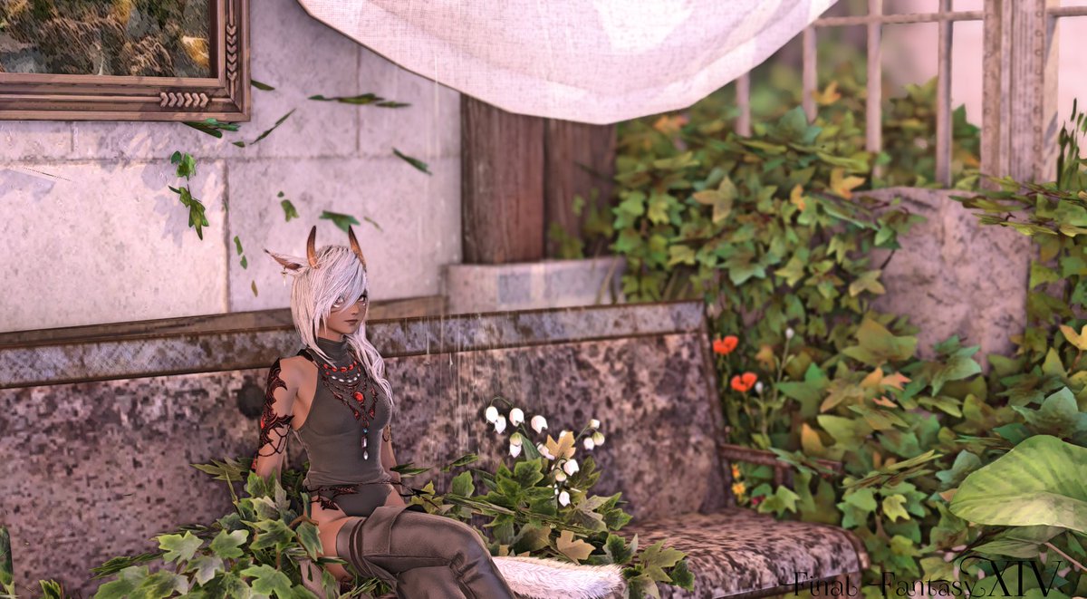 koukouai0230's tweet photo. おやすみなさい、今日はPWと島いっぱいやった！！

#FF14 #ミコッテ https://t.co/05uB1cBMyu