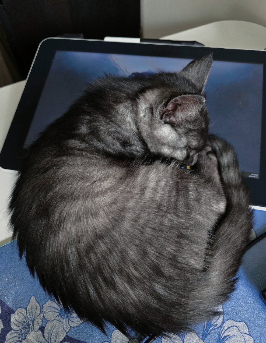 QuackMiu's tweet photo. Just having a nice and quiet afternoon with my Lily 💙 https://t.co/eCMqZR9NQp