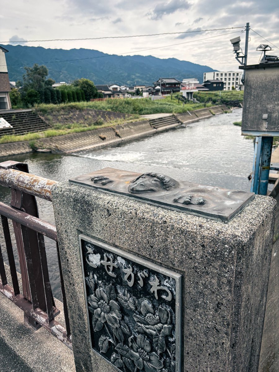 molokheism's tweet photo. 街中には至る所にカッパがいるけど、このカッパが1番好きだった https://t.co/awrL3YDNRR